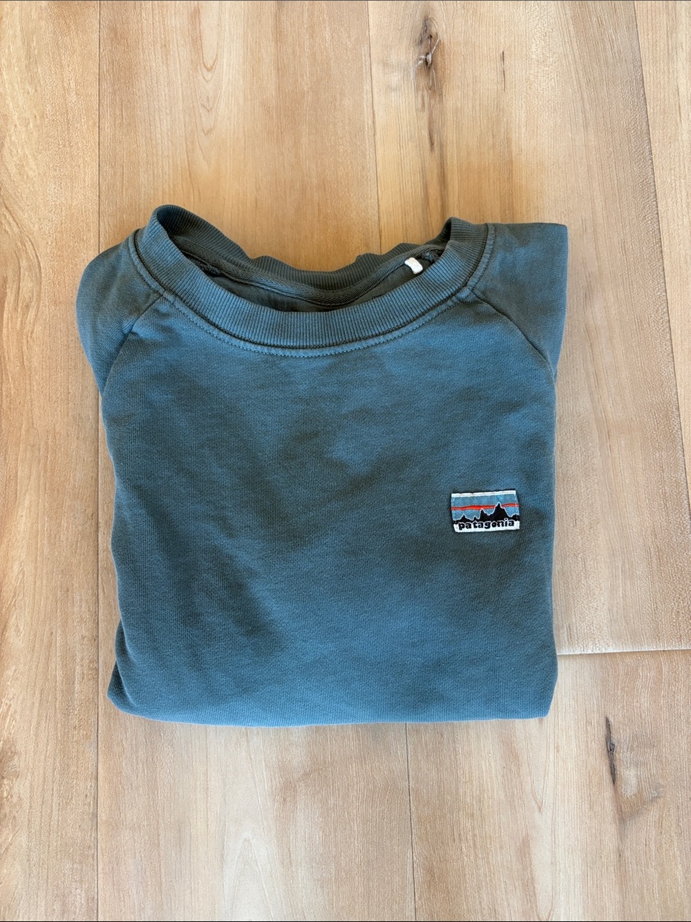 Patagonia Women’s Teal Crewneck Sweatshirt